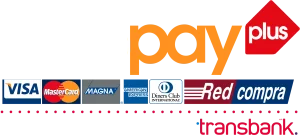 Facilidades de pago_Webpay